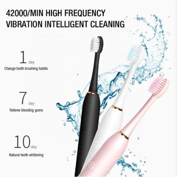 Sonic Electric Toothbrush (Rechargeable)