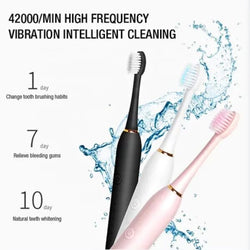Sonic Electric Toothbrush (Rechargeable)